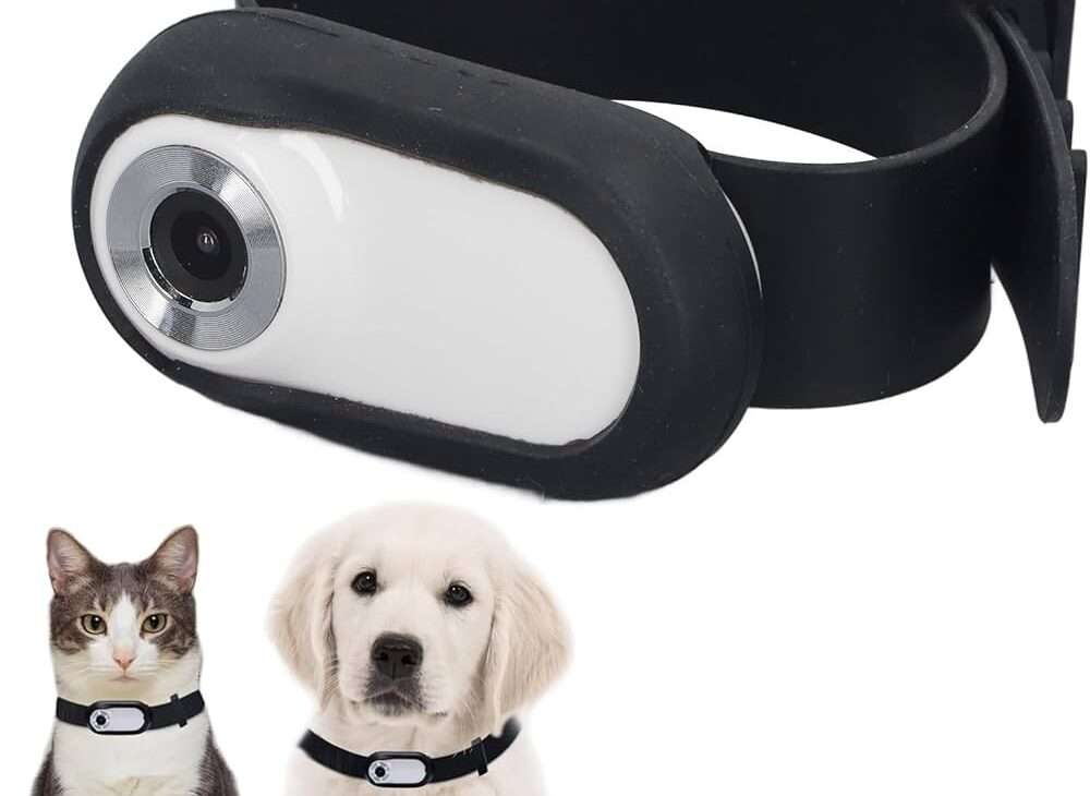 Wearable Cameras for Pets