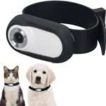 Wearable Cameras for Pets